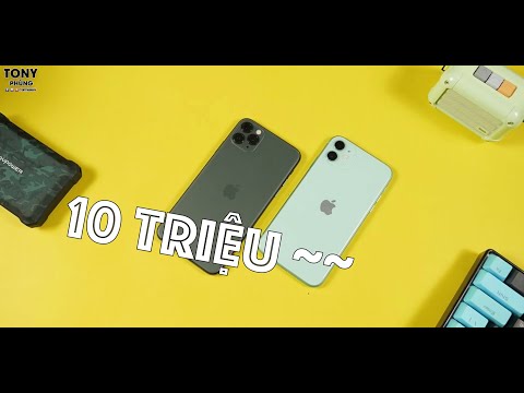 Mua iPhone 11, hay thêm hơn 10 triệu để mua iPhone 11 Pro Max?