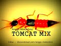 Dj Angga Mokochino Tomcat Mix images Dj Angga Mokochino Tomcat Mix