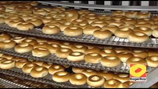 Bagel Boy