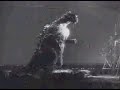 Godzilla (1954) Online Movie