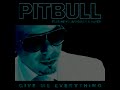 Give Me Everything (Audio)