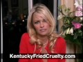 kentucky fried chicken - chicken abuse by pamela anderson.flv
