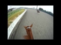 Blind Luck's Jockey Cam 8/5/2011 in HD