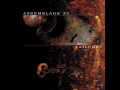 Assemblage 23 - Awake (lyrics)