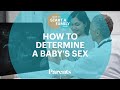 How to Determine a Baby's Sex | How to Start a Family | Parents
