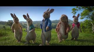 Remember The Name From The Movie Peter Rabbit(2018)