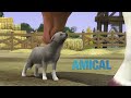 animaux et cie