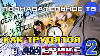 Как трудятся в Америке 2 (Познавательное ТВ, Наталия Локоть)