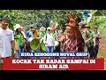 Iring iringan seni tanji kuda renggong noval grup