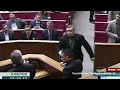 Ukraine crisis: Violent brawl at Kiev parliament
