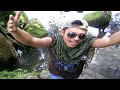 Lord Patawad Luzuriaga Version images Lord Patawad Luzuriaga Version