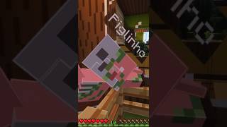 Le Piglin Le Plus Fou De Minecraft