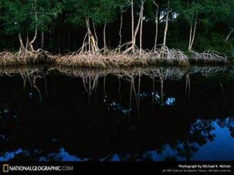 Sade - Pearls