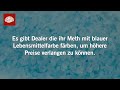 11 FAKTEN ÜBER BREAKING BAD - Faktastisch