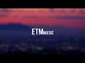 Palm Trees Video preview