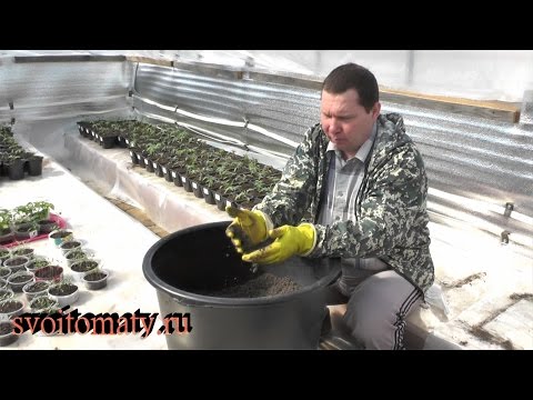 Как хранить землю для рассады зимой 57