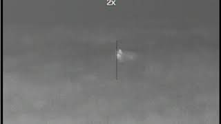Windy Outdoor Coyote Graduation