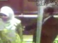 老板与风骚女秘书 电梯中不忘 办事 竟然做出如此动作