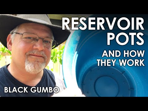 What is a Reservoir Pot? || Black Gumbo