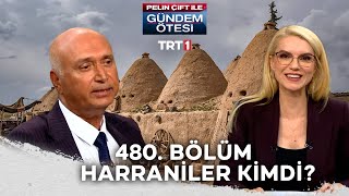 Pelin Çift Ile Gündem Ötesi 480. Bölüm Trt1