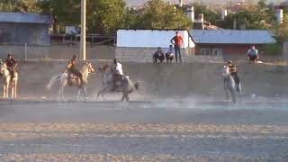 Erzincan Atlı Cirit Yükselme Grubu İsabet Değilmiş