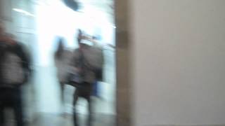 Artshield Brings Dali & Gala To Fridericianum Doenta13 -Gala Testing Pedestal