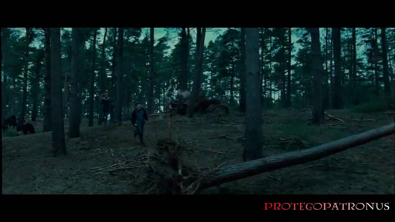 Harry Potter e i Doni della Morte - Il trailer della