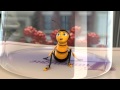 Online Movie Bee Movie (2007) Free Stream Movie