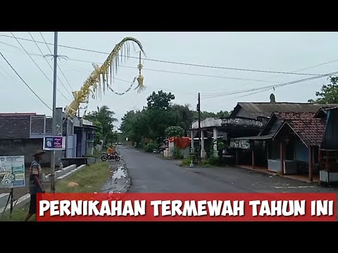 Pernikahan unik kades cantik Angely Emitasari  sesama kepala desa.. sukorame lamongan
