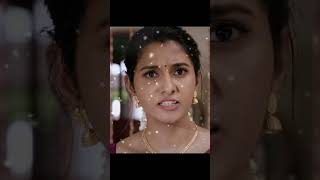 Praanam Naa Praanam Movie