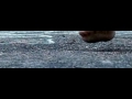 Barefoot Running - Toe Splay