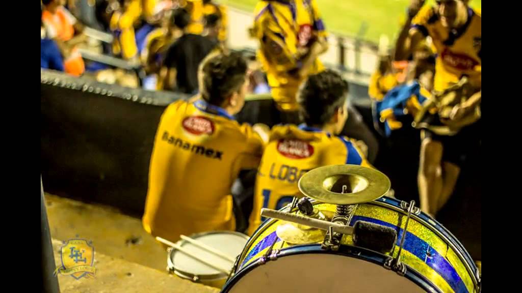 Imagenes De Libres Y Lokos 2014 | imagenes de tigres libres y lokos images Imagenes De Libres Y Lokos 2014 | imagenes de tigres libres y lokos images