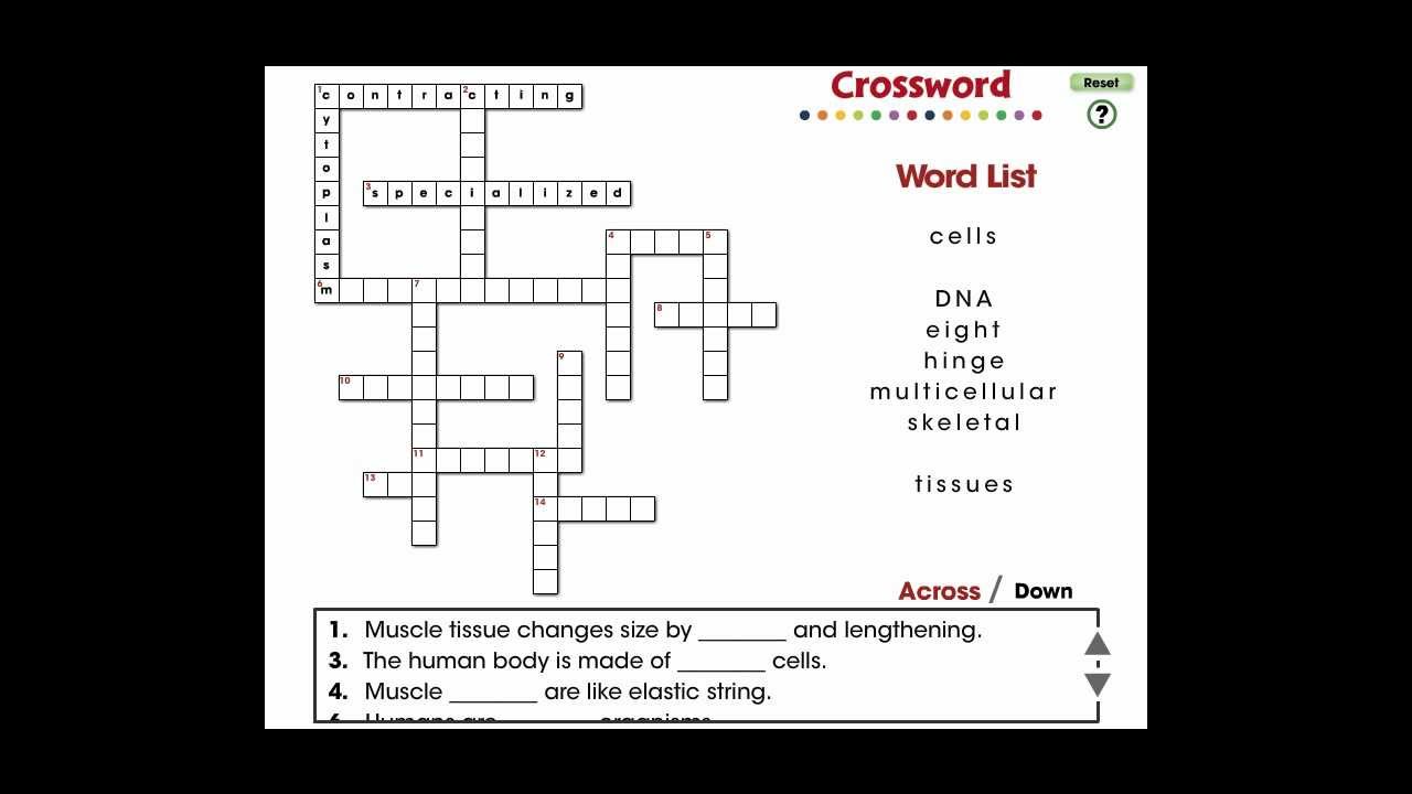 CC7549 Cells, Skeletal & Muscular Systems: Crossword Mini - 2013 - YouTube