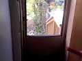 Копия видео "Funny animals"