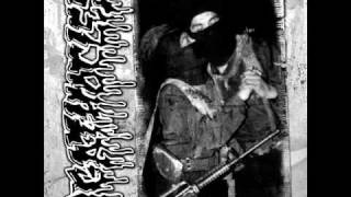 Video An abstract Agathocles