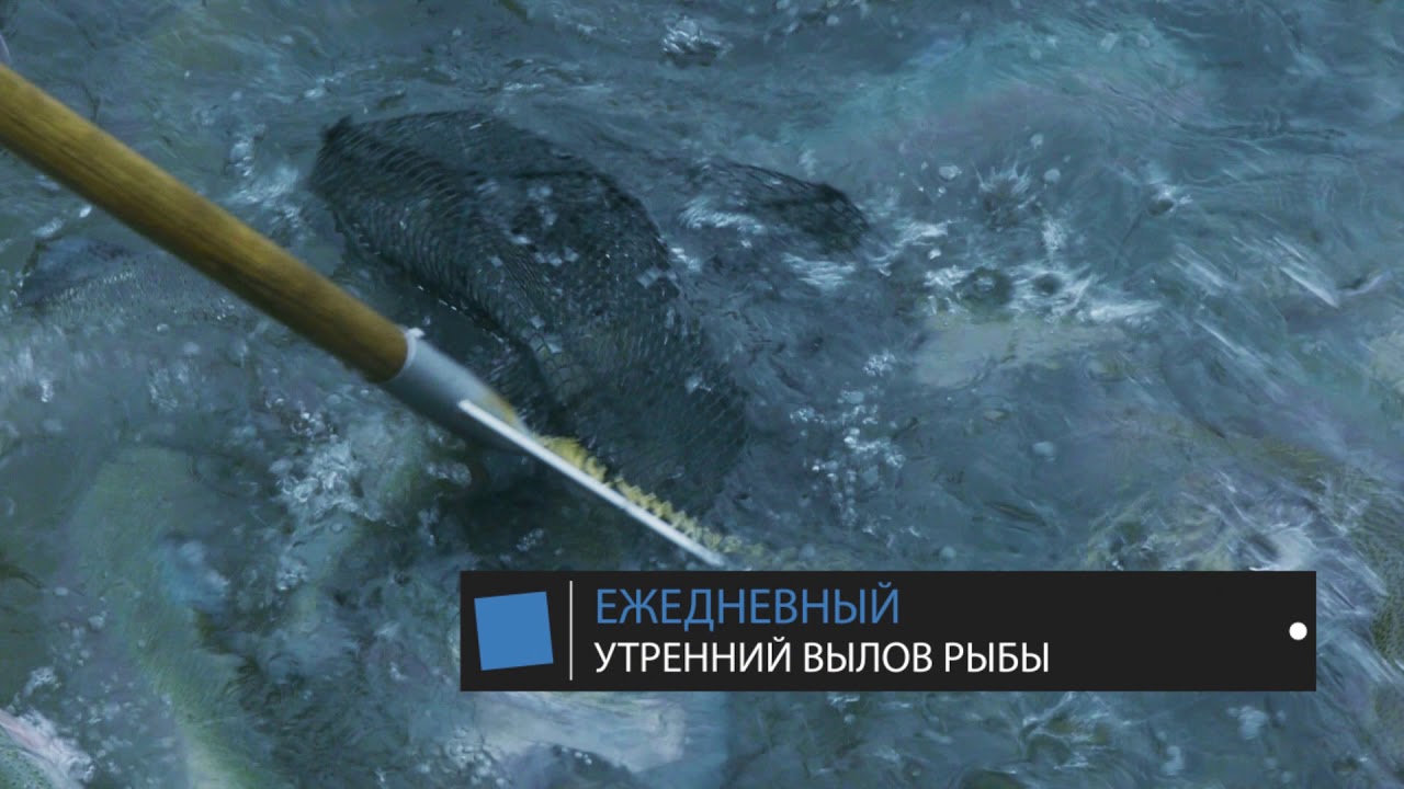ЛУЧШЕ ОДИН РАЗ УВИДЕТЬ