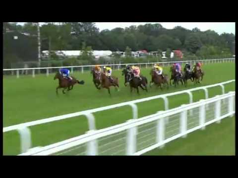 Ranker Video