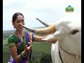 Baro Baaro Basavanna Baro Baaro Basavanna