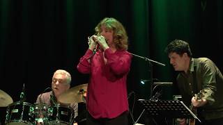 Hermine Deurloo & Steve Gadd - So Long Redhead