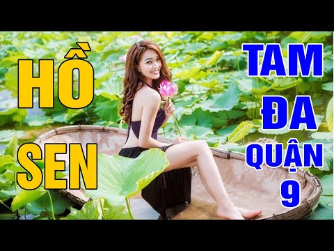 Tham quan chụp ảnh Hồ Sen Tam Đa quận 9 TP HCM - Discovery Tam Đa Lotus Lake in HCM (có English Sub)