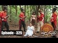 Muthu Kuda 04/05/2018 - 325