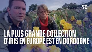 La Plus Grande Collection Diris Deurope Se Trouve En France
