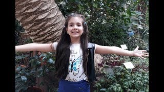 Алла Шитова - Едем В Крым! (Муз. Ю.Шитова, Сл. Л.Огурцовой, Ю.Шитова))