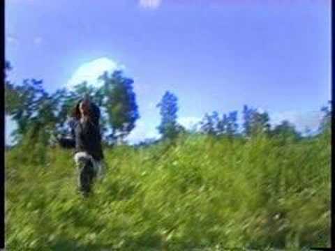 Гибель волколаков