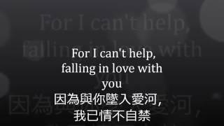 Watch Rick Astley I Cant Help Falling In Love with You video