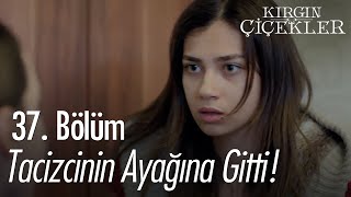 Meral, tacizcinin ayağına gitti! - Kırgın Çiçekler 37. Bölüm