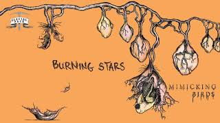 Watch Mimicking Birds Burning Stars video