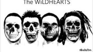 the wildhearts bi polar baby