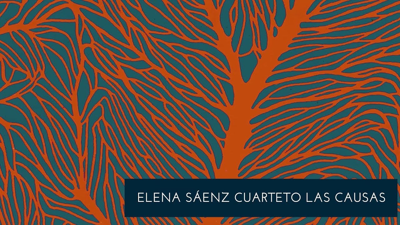 Elena Sáenz cuarteto Las Causas