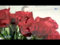 ♡ Tango de Roses - GIOVANNI MARRADI (romantic piano music) HD